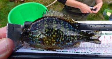 Suivi biologique 2025 : que nous disent nos rivières ?